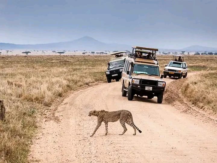 Tsavo National Park